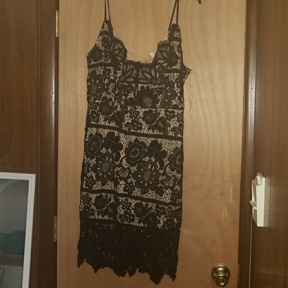 Lace Bodycon